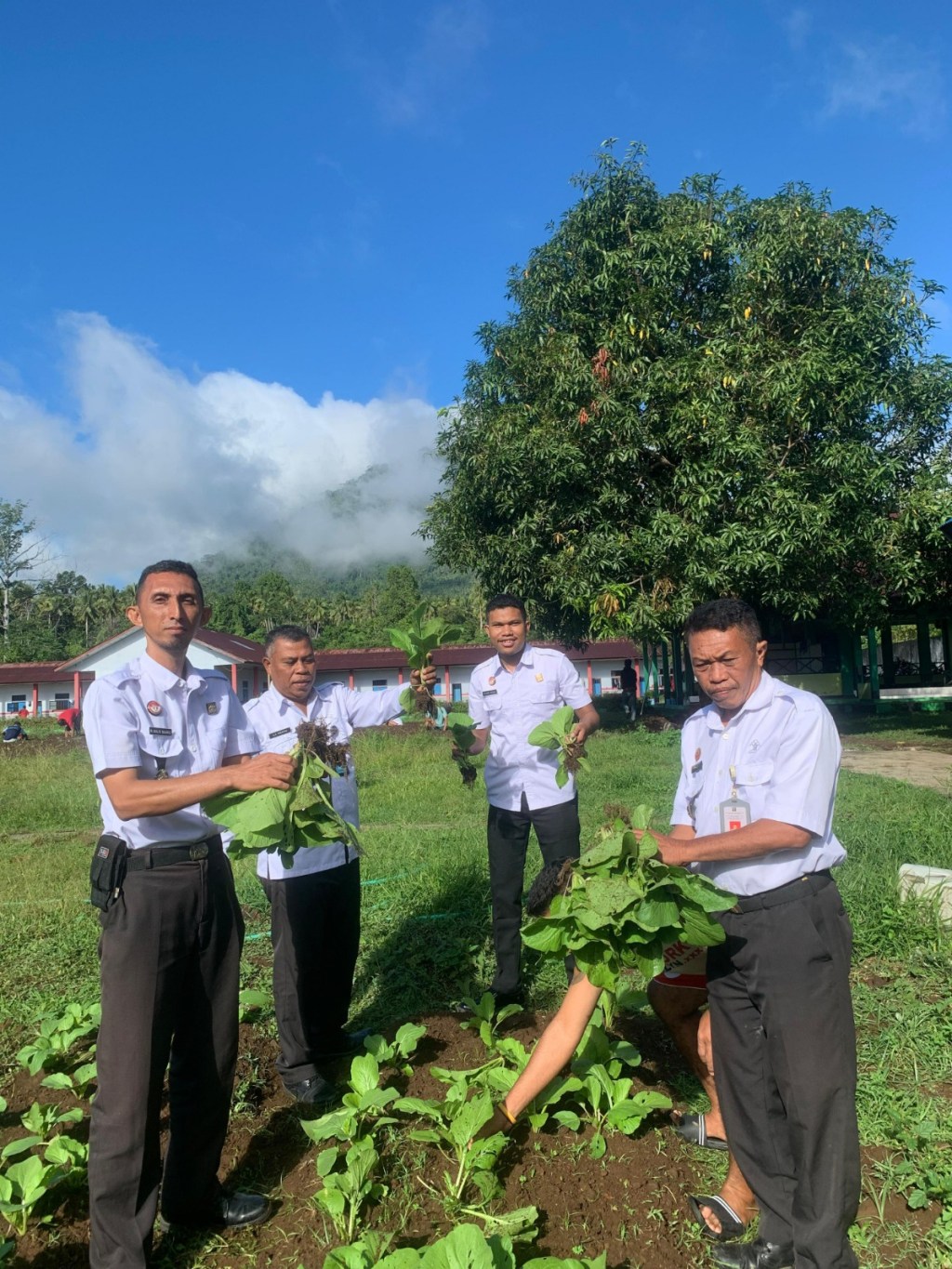 Kemenkumham Malut Mengapresiasi WBP Lapas Jailolo atas Hasil Panen&nbsp;Pertanian